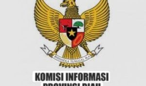 syafriadi-ditunjuk-ketua-timsel-pe